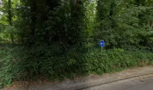 Rogy Corinne à Maintenon