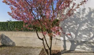 Gaubert Isabelle à Jagny-sous-Bois