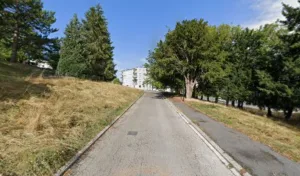 Jacquemart Brie Anne à Épernay