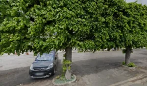 Mme Chatagnon à Baugy