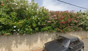 Malgouyres Marie à Servian