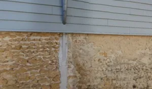 Lajus Marianne à Mont-de-Marsan