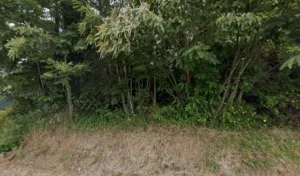 Dufleit Valérie à Pleuven