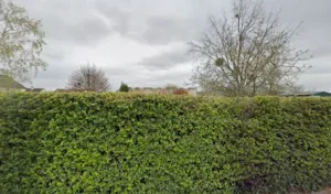 ADMR Maison des Services de Contres à Le Controis-en-Sologne