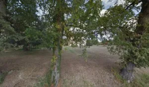 Bonjour Jean-Pierre à Montbeton