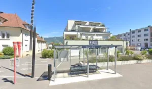 Bibollet Ruche Didier à Marnaz