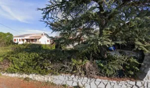 Champagne Annie à Saint-Privat-des-Vieux