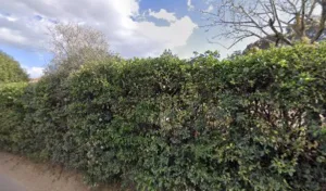 Sorace Anne-Marie à Six-Fours-les-Plages