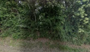 Sci Ruiz Tanguy à Saint-Caprais-de-Bordeaux