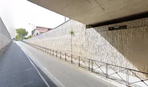 Puma Dominique à Blagnac