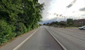 Mouton Morgan à Fouquières-lès-Béthune