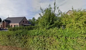 Cabezon Christel à Bersillies