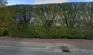 Prevel Caroline Celine Sophie à Saint-Étienne-du-Rouvray