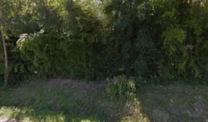 Lenfant Michel à Creysse