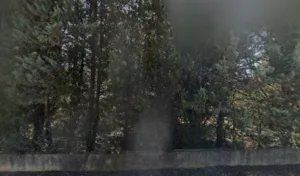 Tribillac Gerard à Villetelle