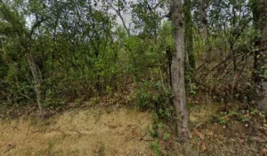 Pérusin Anne-Paule à Auch