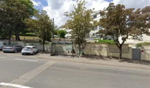 De Oliveira Fabrice à Saint-Étienne