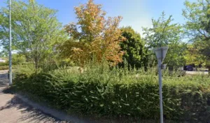 VERRIER SABRINA à Yzeure