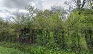 CROQUETTES A DOM’ à Châtenoy