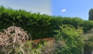 Barusseau Nicole à Bourg-lès-Valence