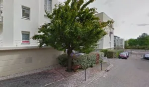 Marianne Thiébaut-Noël à Villers-lès-Nancy