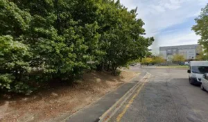 Clervil Rose à Montereau