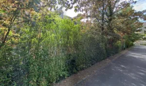 Clamagirand Annie à Verrières-le-Buisson