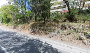 Bortoli Muriel à Vence