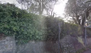 Schlatterer Dominique à Vence