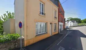 GUILLEMOT à Douarnenez