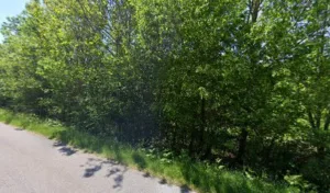 Climax Bois Denis à Clergoux