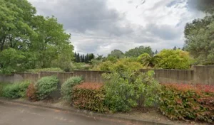 Basile Alain à Castelnau-le-Lez