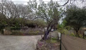 Louat Françoise à Ollioules