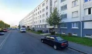 Baudu Levaillant Sibylle Anne à Blois