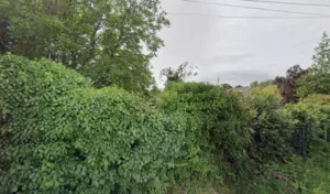 Robin Nelly à Concarneau