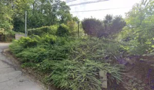 Prat Regine à Bièvres