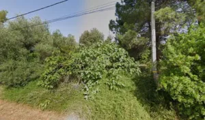 Sanchez Henry à Cazouls-d'Hérault