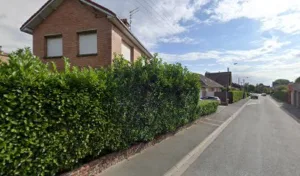 Isabelle Morel Galliaerde à Bailleul