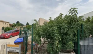 Christelle GARCIA à L'Isle-sur-la-Sorgue