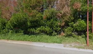 Jurek Monique à Saint-Menges