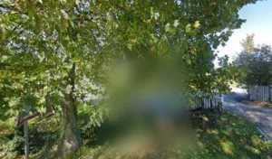 David LARCHEZ à Villenauxe-la-Grande