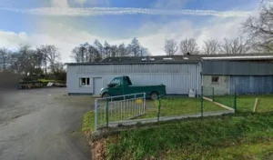 Pigeon Chermat SCM à Plélo