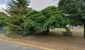 Top Nina infirmière à Amilly