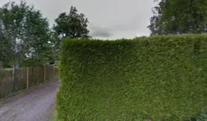 Demare Laurence à Bois-Guillaume