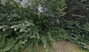 Cabinet infirmier. Camille THIBAULT à Saint-Orens-de-Gameville