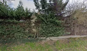 Leuillet Cecile à Graulhet