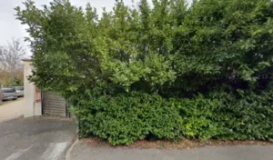 Infirmière Bouc Bel Air et Simiane – Morin Cécile à Bouc-Bel-Air