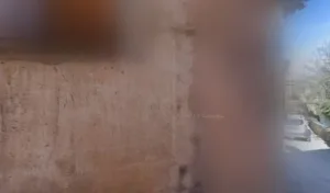 Beauchemin Pique Catherine à Le Thoronet