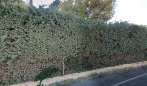 Lorenzi Nathalie à Le Pradet