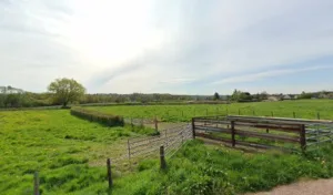Simon Sophie à Saint-Vallier